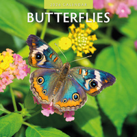 2026 Calendar Butterflies 16-Month Square Wall, Red Robin RR261014