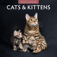 2026 Calendar Cats & Kittens 16-Month Square Wall, Red Robin RR261016