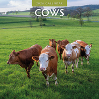 2026 Calendar Cows 16-Month Square Wall, Red Robin RR261019