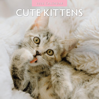 2026 Calendar Cute Kittens 16-Month Square Wall, Red Robin RR261022