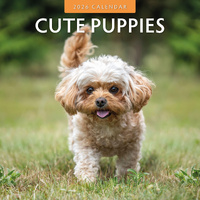 2026 Calendar Cute Puppies 16-Month Square Wall, Red Robin RR261023