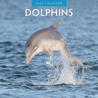 2026 Calendar Dolphins 16-Month Square Wall, Red Robin RR261025