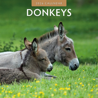 2026 Calendar Donkeys 16-Month Square Wall, Red Robin RR261026
