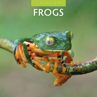 2026 Calendar Frogs 16-Month Square Wall, Red Robin RR261030