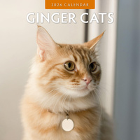 2026 Calendar Ginger Cats 16-Month Square Wall, Red Robin RR261032