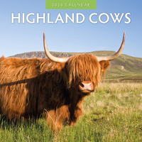2026 Calendar Highland Cows 16-Month Square Wall, Red Robin RR261036