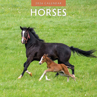 2026 Calendar Horses 16-Month Square Wall, Red Robin RR261037