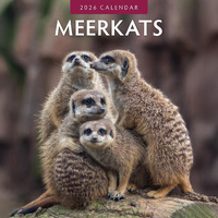 2026 Calendar Meerkats 16-Month Square Wall, Red Robin RR261041