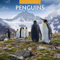 2026 Calendar Penguins 16-Month Square Wall, Red Robin RR261047