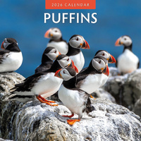 2026 Calendar Puffins 16-Month Square Wall, Red Robin RR261049