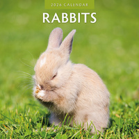 2026 Calendar Rabbits 16-Month Square Wall, Red Robin RR261050