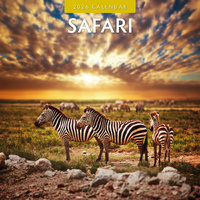 2026 Calendar Safari 16-Month Square Wall, Red Robin RR261052