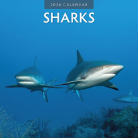 2026 Calendar Sharks 16-Month Square Wall, Red Robin RR261053