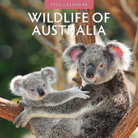 2026 Calendar Wildlife of Australia 16-Month Square Wall, Red Robin RR261061
