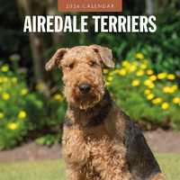 2026 Calendar Airedale Terriers 16-Month Square Wall, Red Robin RR261064