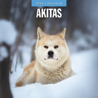 2026 Calendar Akitas 16-Month Square Wall, Red Robin RR261065
