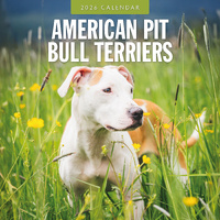 2026 Calendar American Pit Bull Terriers 16-Month Square Wall, Red Robin RR261067