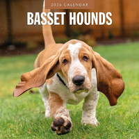 2026 Calendar Basset Hounds 16-Month Square Wall, Red Robin RR261071
