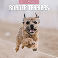 2026 Calendar Border Terriers 16-Month Square Wall, Red Robin RR261082