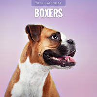 2026 Calendar Boxers 16-Month Square Wall, Red Robin RR261087