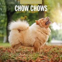 2026 Calendar Chow Chows 16-Month Square Wall, Red Robin RR261096
