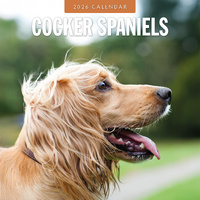 2026 Calendar Cocker Spaniels 16-Month Square Wall, Red Robin RR261098