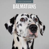 2026 Calendar Dalmatians 16-Month Square Wall, Red Robin RR261103