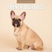 2026 Calendar French Bulldogs 16-Month Square Wall, Red Robin RR261111