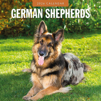 2026 Calendar German Shepherds 16-Month Square Wall, Red Robin RR261113