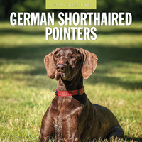 2026 Calendar German Shorthaired Pointers 16-Month Square Wall, Red Robin RR261114