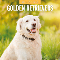 2026 Calendar Golden Retrievers 16-Month Square Wall, Red Robin RR261116