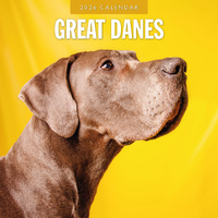 2026 Calendar Great Danes 16-Month Square Wall, Red Robin RR261118