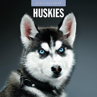 2026 Calendar Huskies 16-Month Square Wall, Red Robin RR261121
