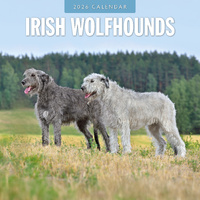 2026 Calendar Irish Wolfhounds 16-Month Square Wall, Red Robin RR261123