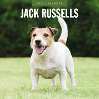 2026 Calendar Jack Russells 16-Month Square Wall, Red Robin RR261124