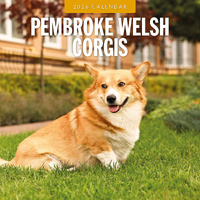 2026 Calendar Pembroke Welsh Corgis 16-Month Square Wall, Red Robin RR261141