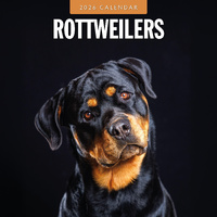 2026 Calendar Rottweilers 16-Month Square Wall, Red Robin RR261148