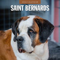 2026 Calendar Saint Bernards 16-Month Square Wall, Red Robin RR261149