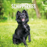 2026 Calendar Schipperkes 16-Month Square Wall, Red Robin RR261151
