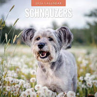 2026 Calendar Schnauzers 16-Month Square Wall, Red Robin RR261152