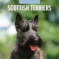 2026 Calendar Scottish Terriers 16-Month Square Wall, Red Robin RR261153