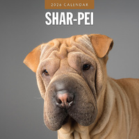 2026 Calendar Shar-Pei 16-Month Square Wall, Red Robin RR261154