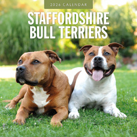 2026 Calendar Staffordshire Bull Terriers 16-Month Square Wall, Red Robin RR261161