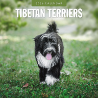 2026 Calendar Tibetan Terriers 16-Month Square Wall, Red Robin RR261162