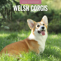 2026 Calendar Welsh Corgis 16-Month Square Wall, Red Robin RR261166