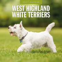 2026 Calendar West Highland White Terriers 16-Month Square Wall, Red Robin RR261168