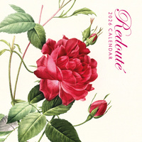 2026 Calendar Redoute 16-Month Square Wall, Red Robin RR261217
