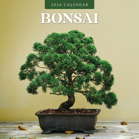 2026 Calendar Bonsai 16-Month Square Wall, Red Robin RR261227