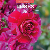 2026 Calendar Roses 16-Month Square Wall, Red Robin RR261235