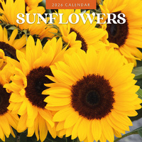 2026 Calendar Sunflowers 16-Month Square Wall, Red Robin RR261236